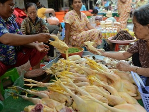 Gia cầm được bày bán tại một chợ ở Campuchia.